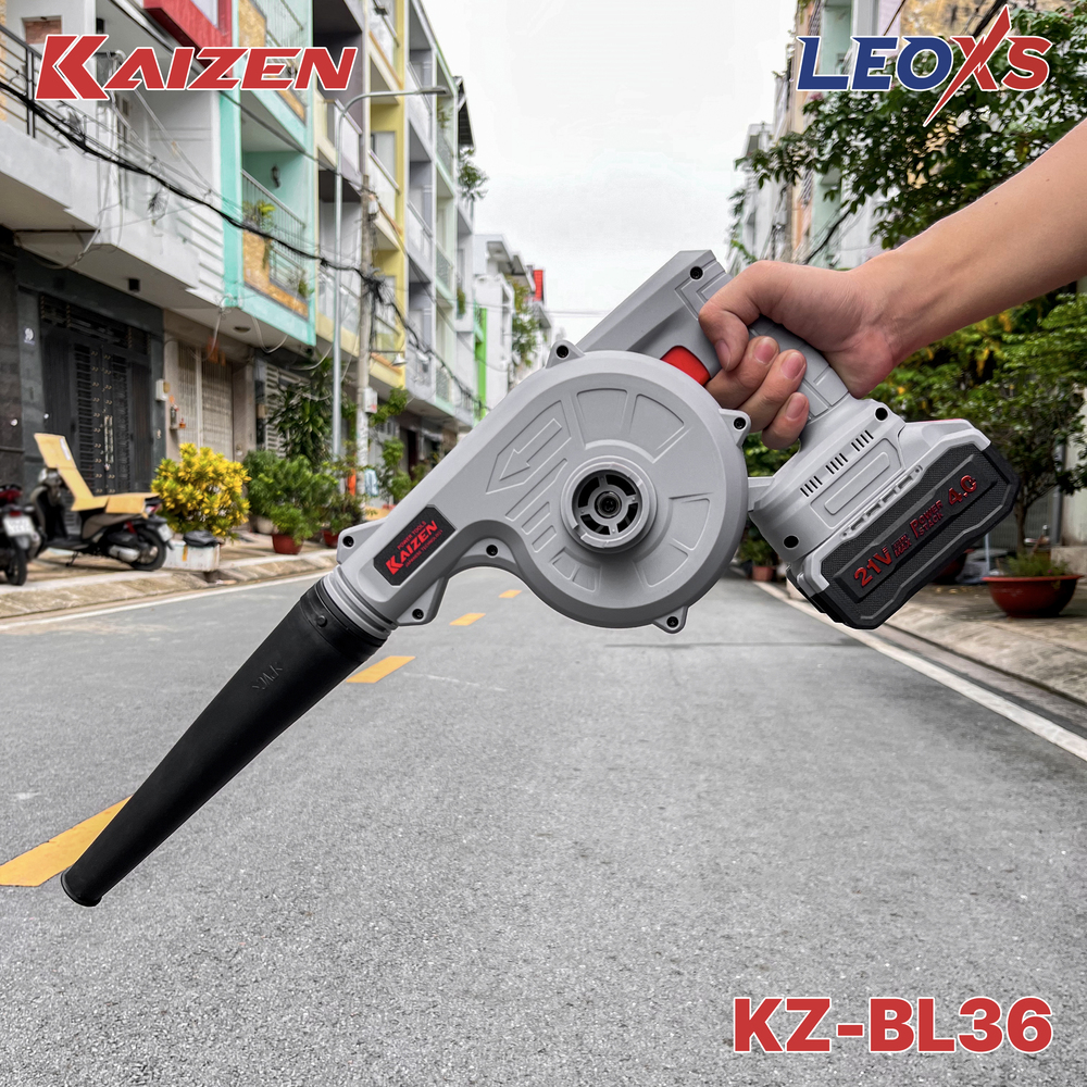 KZ-BL36-1