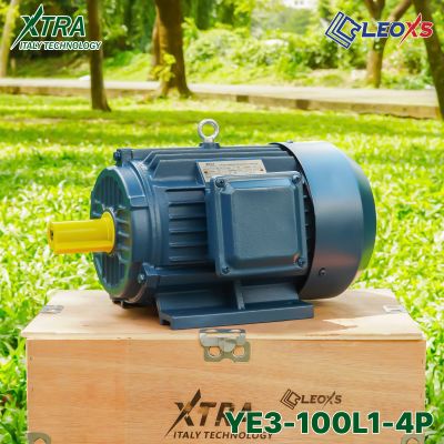 MOTOR ĐỘNG CƠ ĐIỆN 1 PHA XTRA 3 NGỰA YE3-100L1-4P