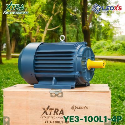 MOTOR ĐỘNG CƠ ĐIỆN 1 PHA XTRA 3 NGỰA YE3-100L1-4P