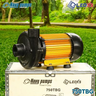 MÁY BƠM NƯỚC THÂN NHÔM VÀNG ĐẨY CAO, ĐẨY XA NAVY 1 NGỰA 750TBG (Gold)