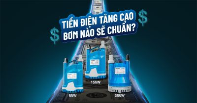 TIỀN ĐIỆN TĂNG?! NHANH CHÓNG TIẾT KIỆM ĐIỆN GẤP 2.5 LẦN VỚI BƠM CHÌM ECO NAVY!