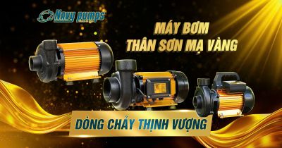 MÁY BƠM NƯỚC THÂN SƠN MẠ VÀNG - "BƠM TÀI LỘC" NAVY NÊN CÓ TRONG NĂM
